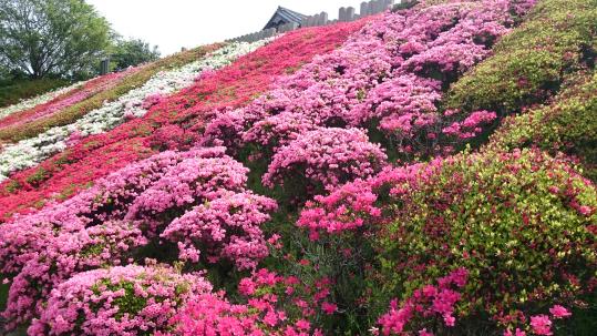 鎮国寺-3