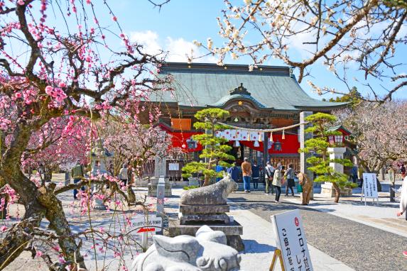 しいだ梅祭り（綱敷天満宮）　-8