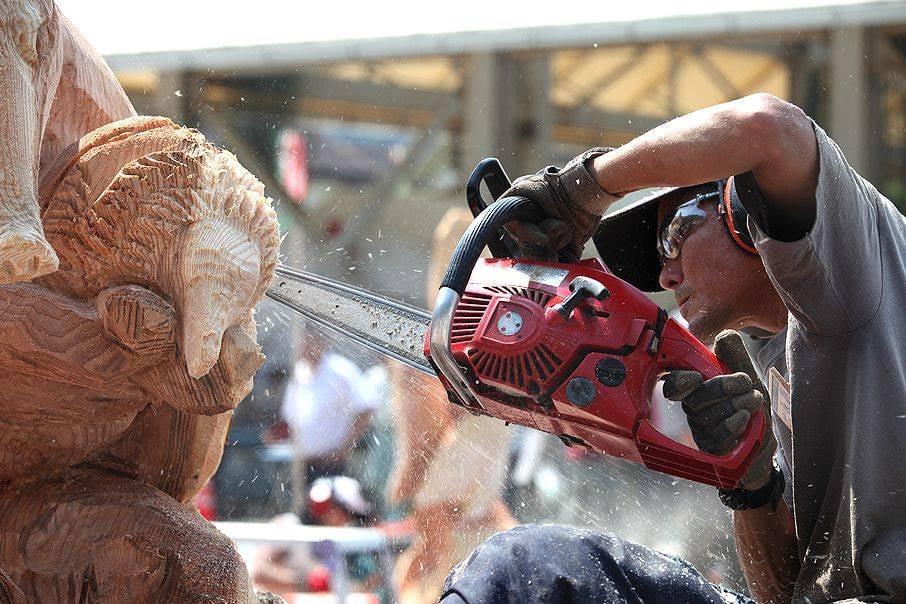 【到津の森公園】Itozu 春 Zoo 2026-5