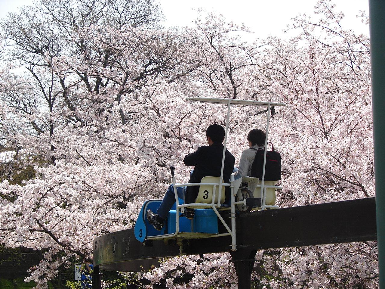 【到津の森公園】Itozu 春 Zoo 2026-4
