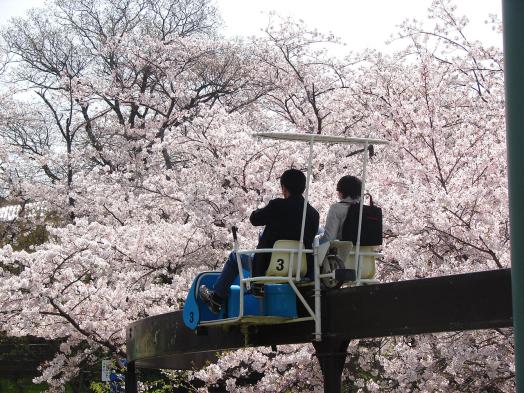 【到津の森公園】Itozu 春 Zoo 2026-4