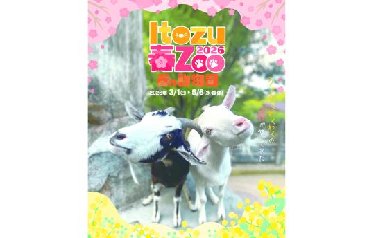 【到津の森公園】Itozu 春 Zoo 2026-0