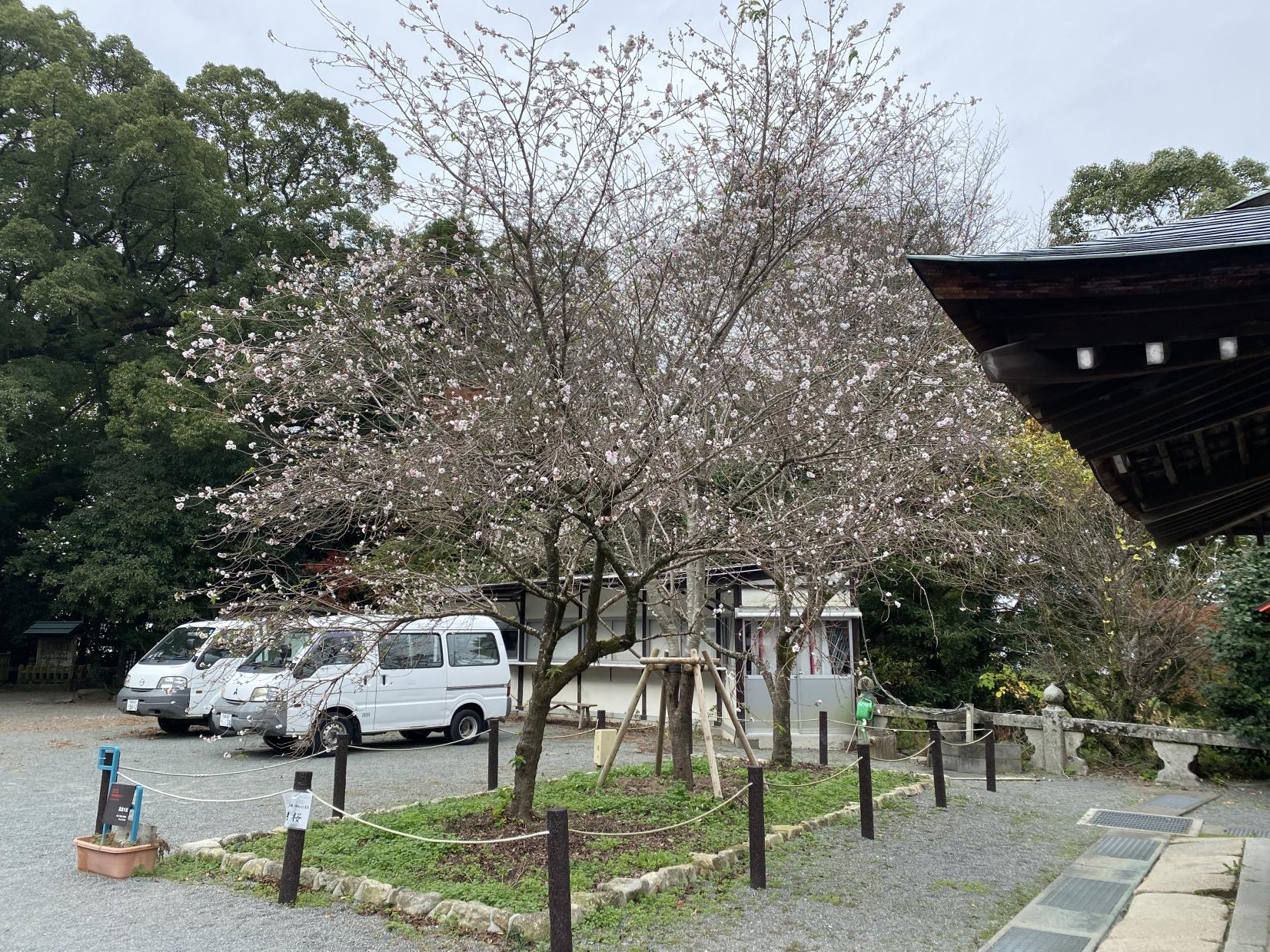 Kora Taisha Shrine-7