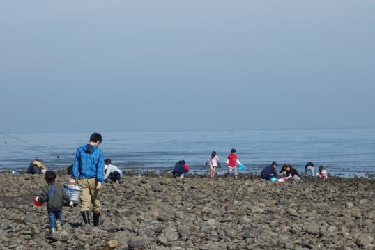 浜の宮海岸　潮干狩り-3