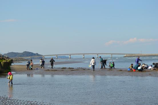 長井浜海岸　潮干狩り（マテ掘り）-4