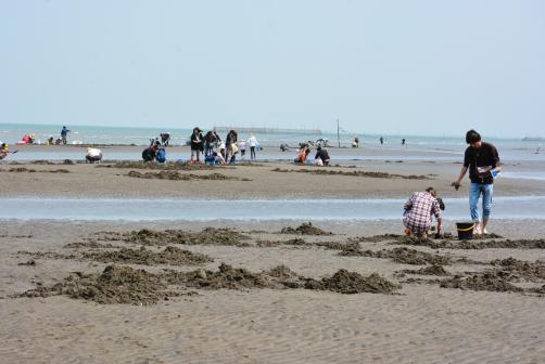 長井浜海岸海潮狩獵-0