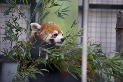 福岡市動植物園-2