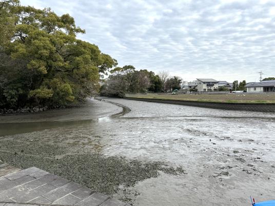 柳川　掘割水落ち-1