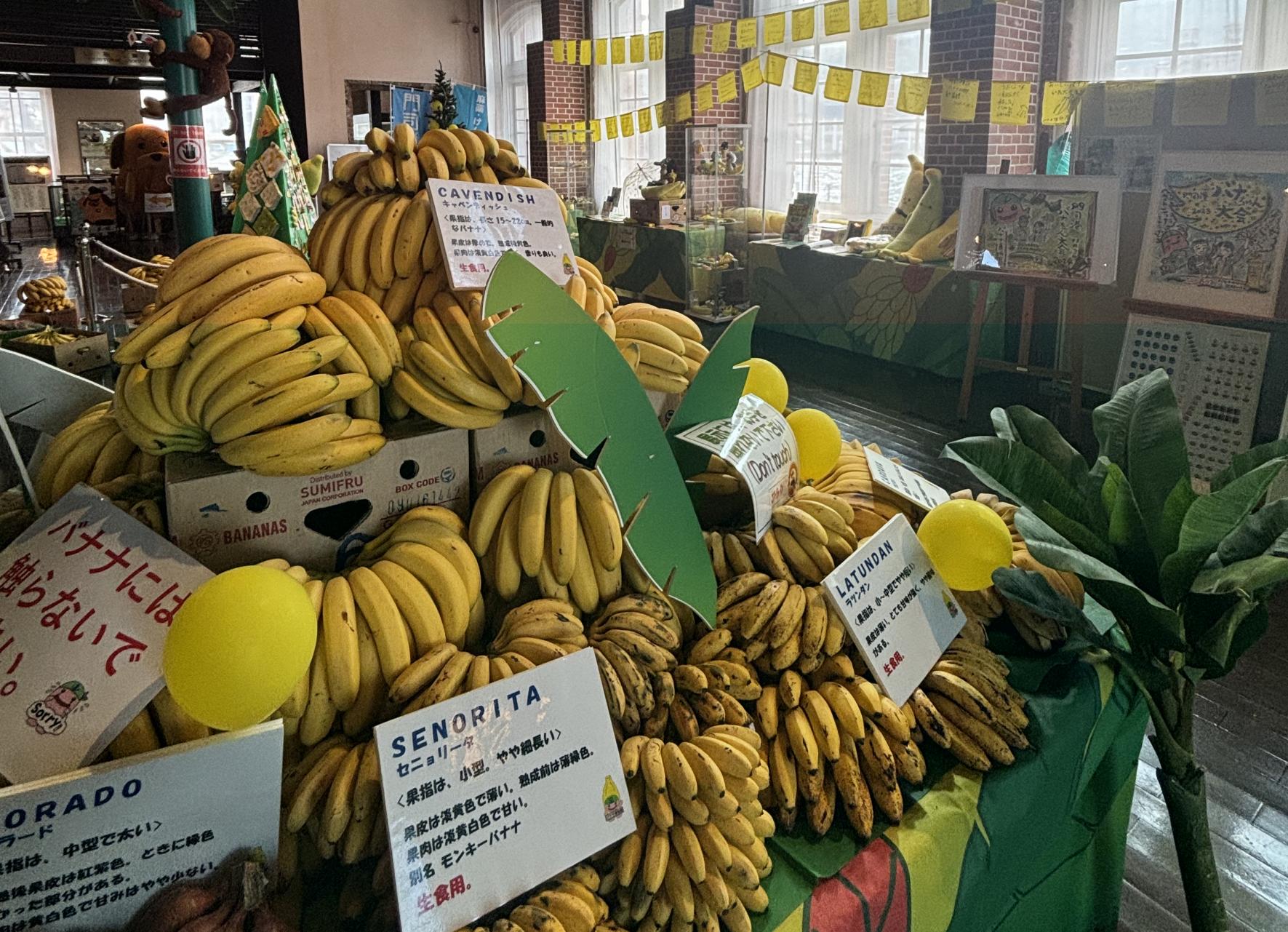 門司港バナナ博物館2025-2