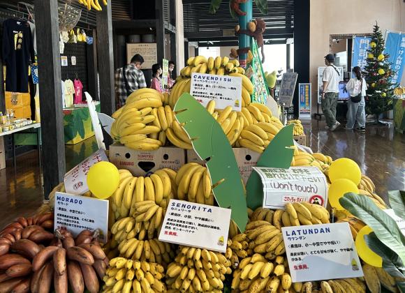 門司港バナナ博物館2025-1