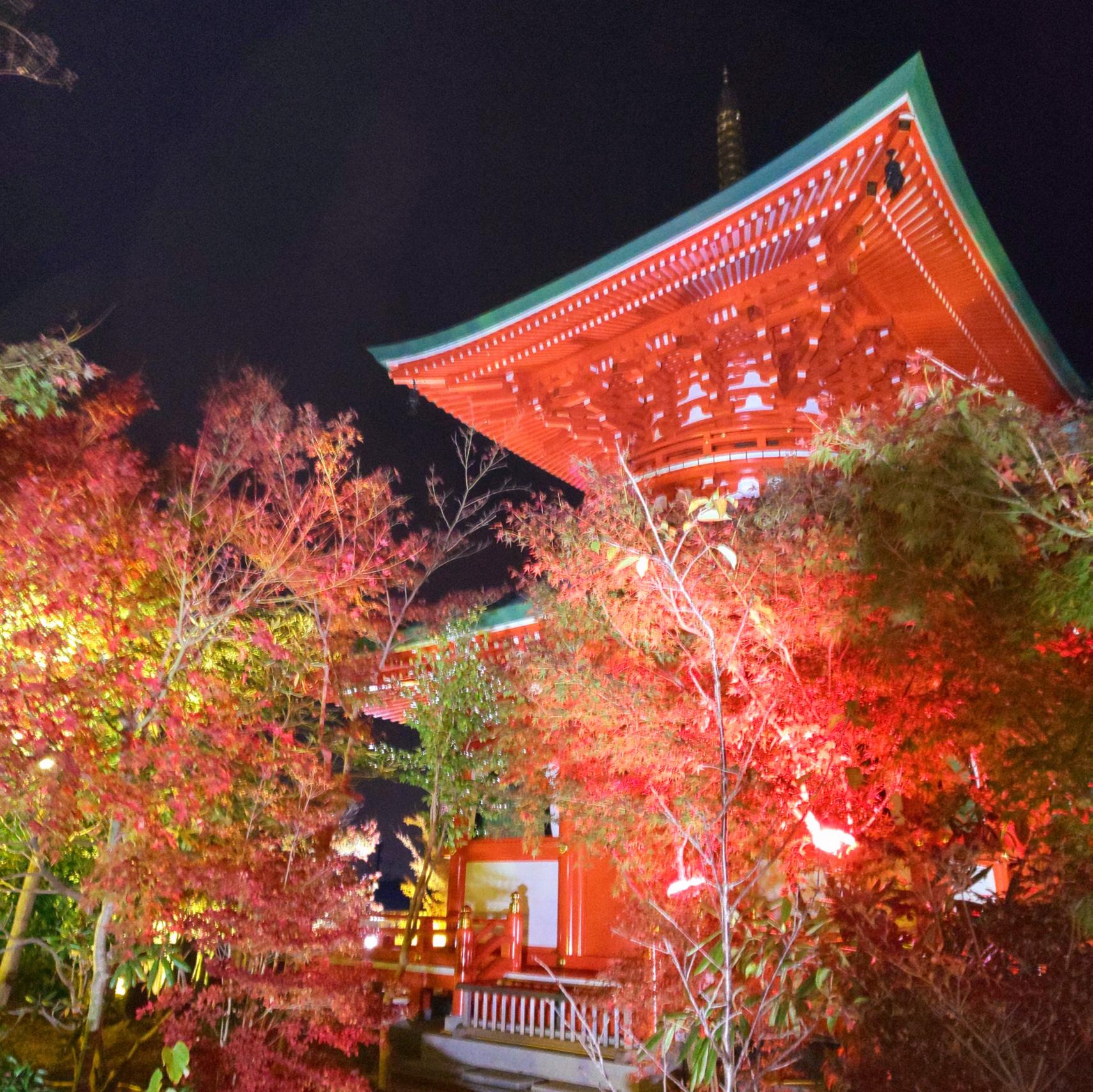 「光と紅葉 楓光会」 清影山 如意輪寺（かえる寺）