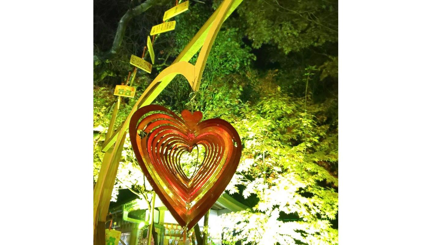 Nyoirinji Temple Light and Autumn Leaves Maple Festival-7