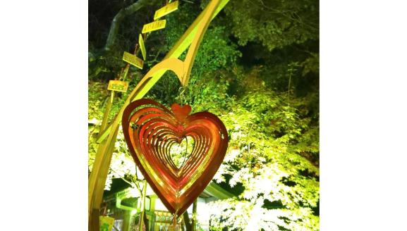 Nyoirinji Temple Light and Autumn Leaves Maple Festival-7