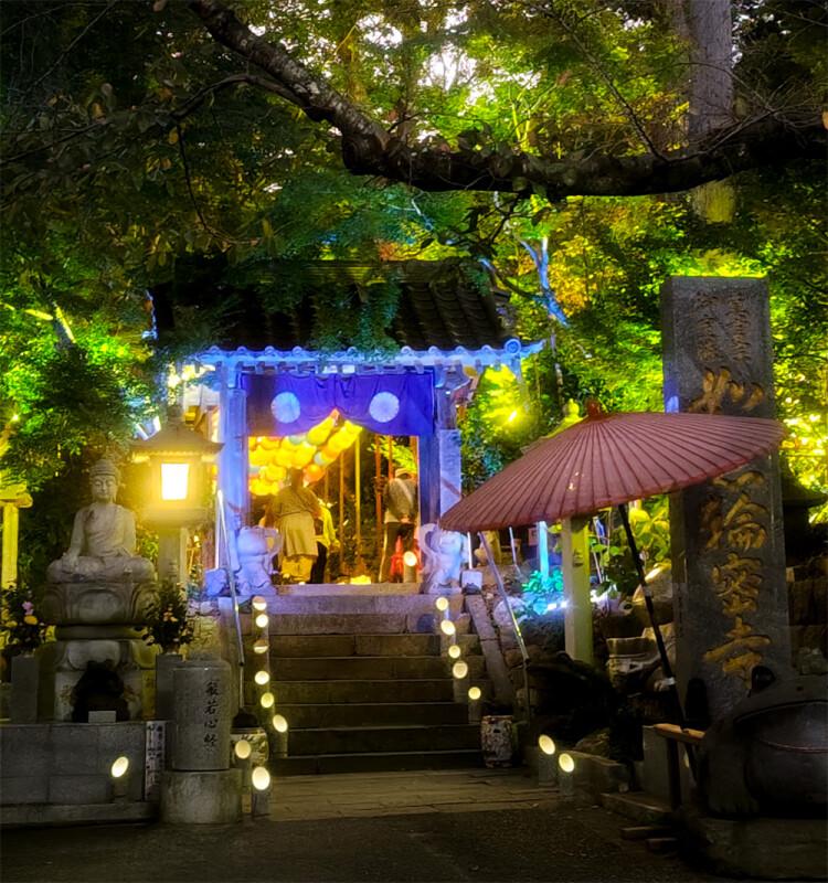 Nyoirinji Temple Light and Autumn Leaves Maple Festival-4