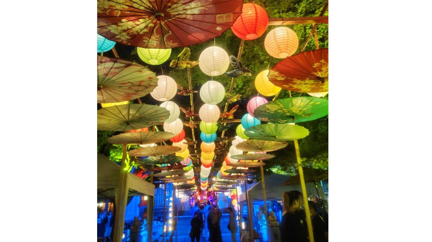 Nyoirinji Temple Light and Autumn Leaves Maple Festival-5