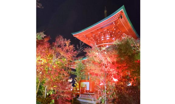 Nyoirinji Temple Light and Autumn Leaves Maple Festival-0