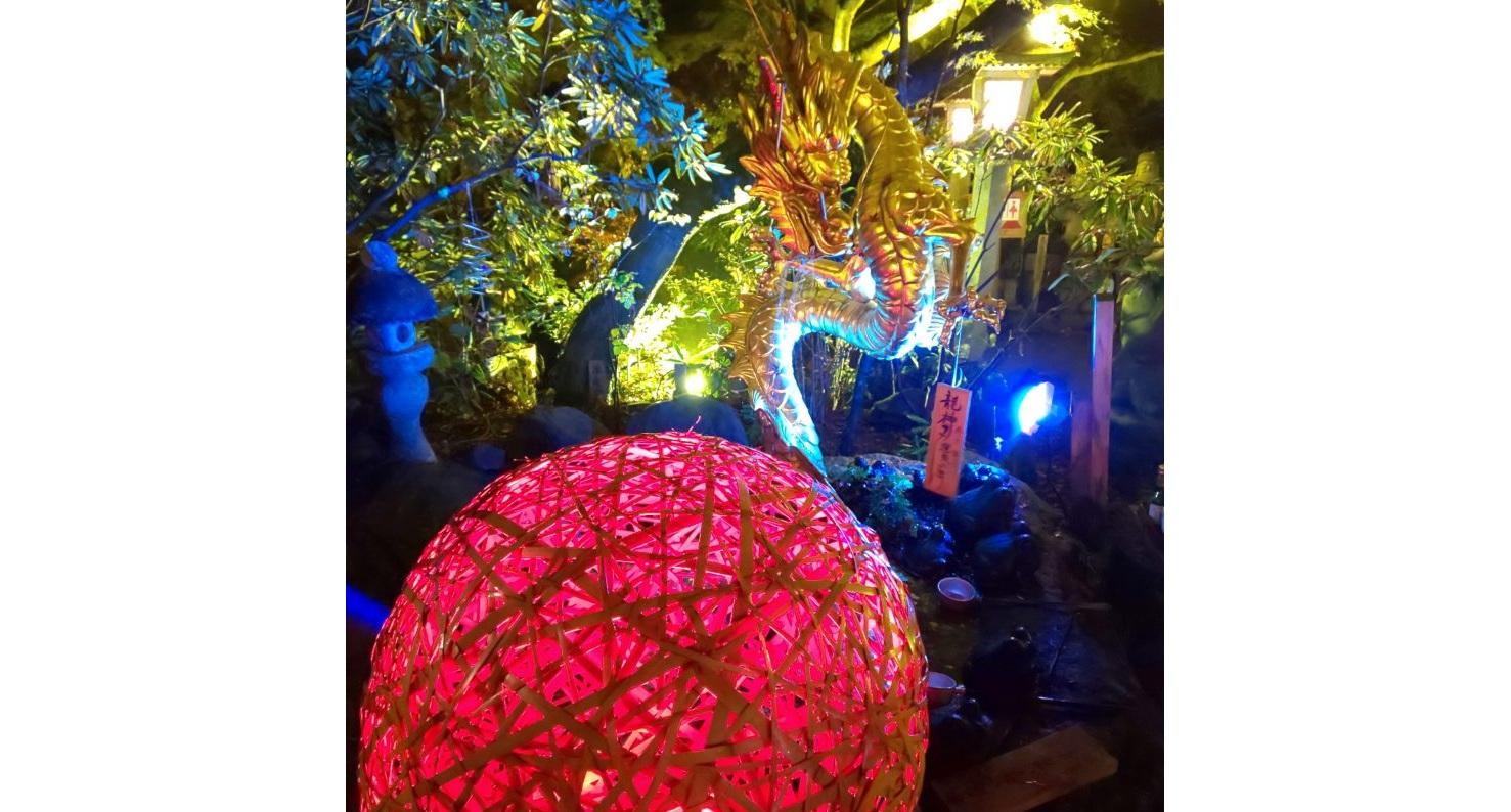 Nyoirinji Temple Light and Autumn Leaves Maple Festival-6