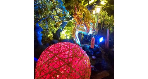 Nyoirinji Temple Light and Autumn Leaves Maple Festival-6