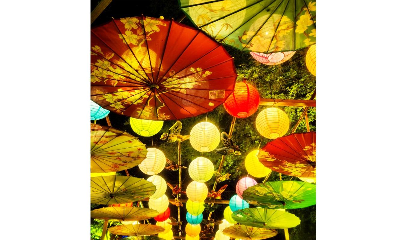 Nyoirinji Temple Light and Autumn Leaves Maple Festival-2