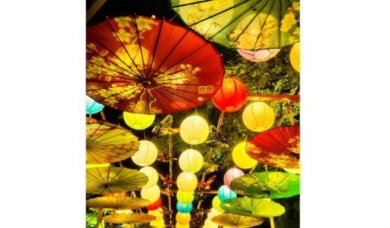 Nyoirinji Temple Light and Autumn Leaves Maple Festival-2