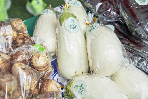 筑後川のめぐみフェスティバル-6