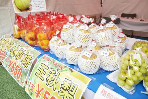 筑後川のめぐみフェスティバル-3