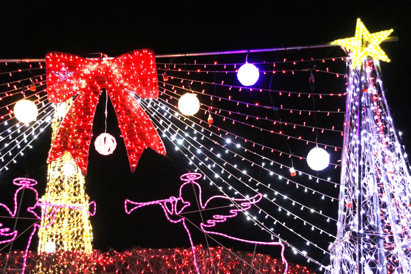 オームタ★イルミナーレ2025-2