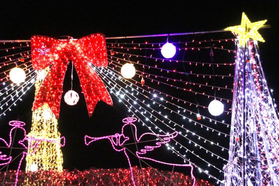 オームタ★イルミナーレ2025-2