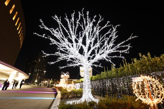 WINTER LIGHT FANTASY ILLUMINATION-5