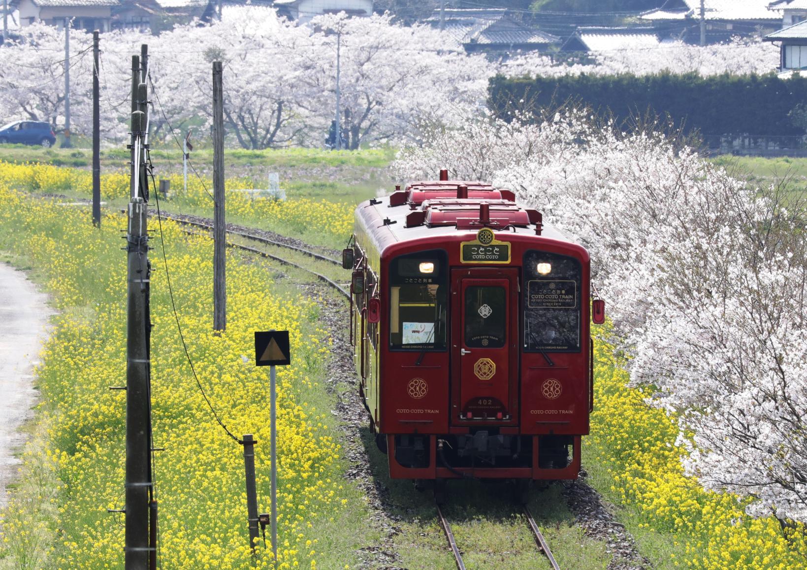 ことこと列車-7