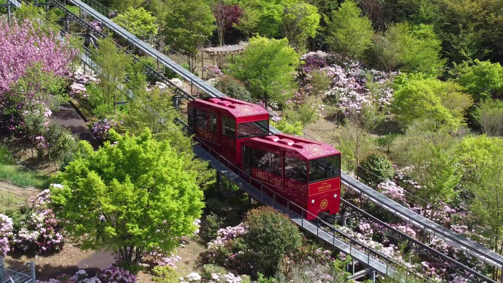 英彦山單軌車（山路專用斜坡車輛）-1