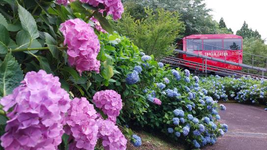 英彦山單軌車（山路專用斜坡車輛）-4