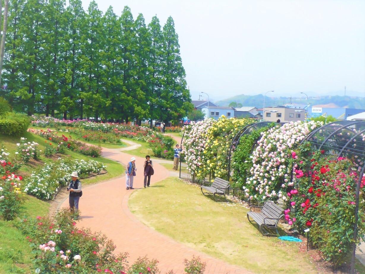 花農丘公園　春のバラフェア
