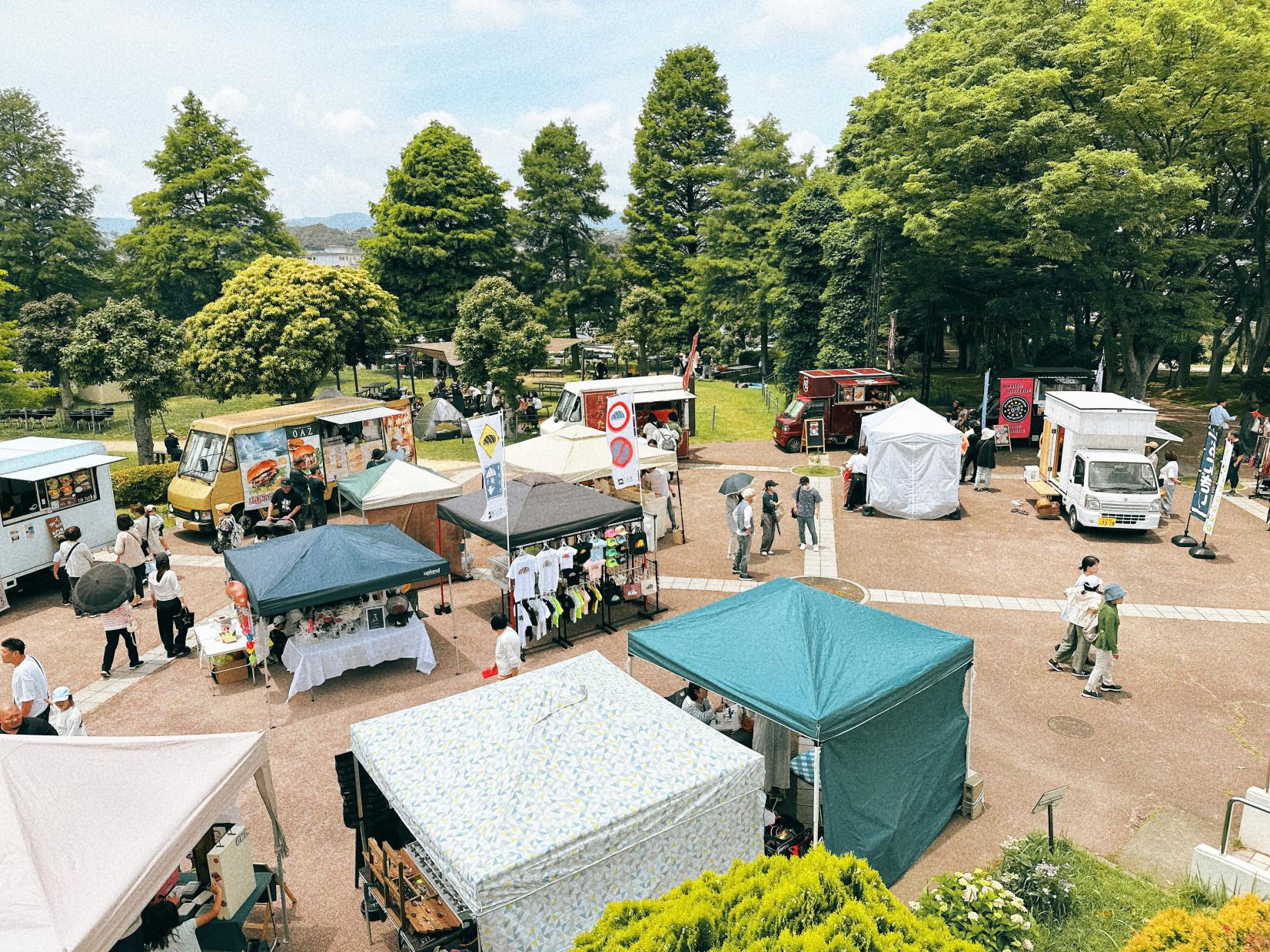 【花農丘公園・北九州市立総合農事センター】春のばらフェア-6