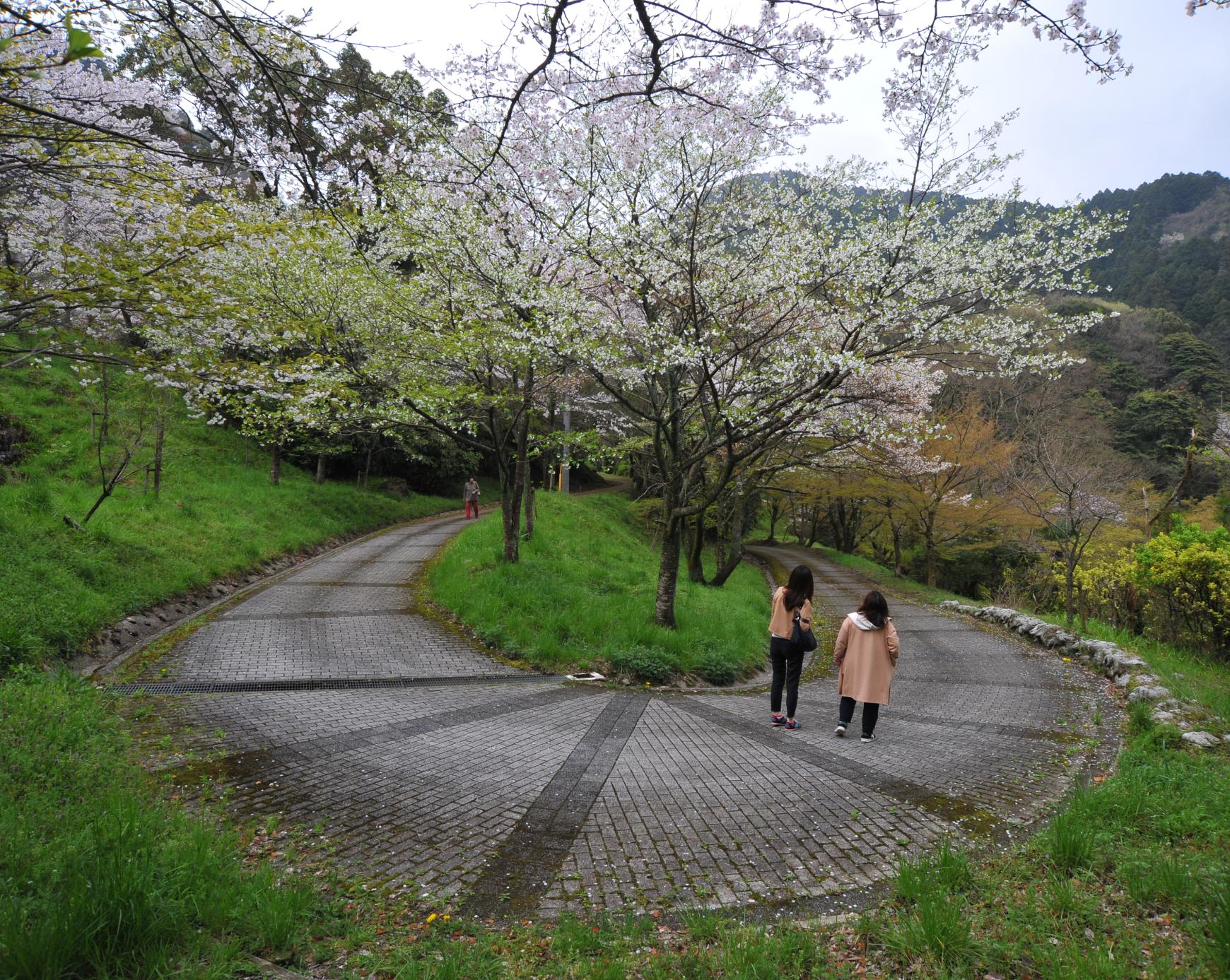 新吉野公園-0