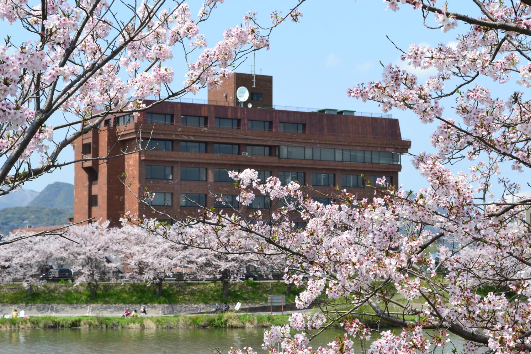 이마가와 강변-1