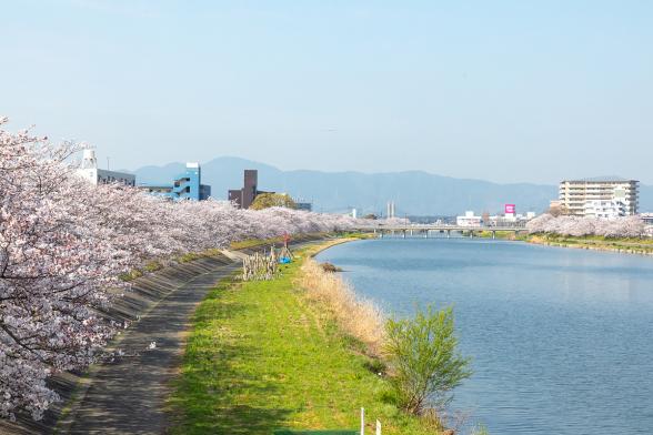 이마가와 강변-6