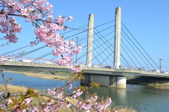 이마가와 강변-8