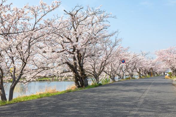 이마가와 강변-7