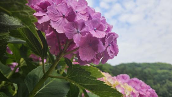 呉ダム渓流公園-3