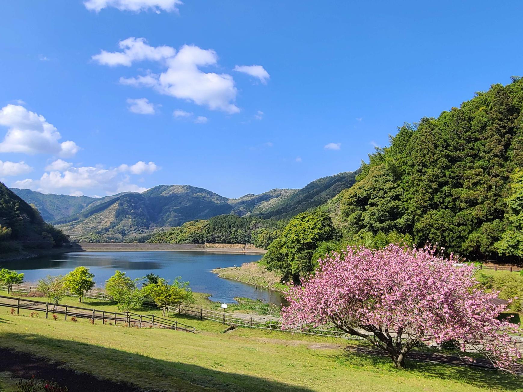 呉ダム渓流公園-1