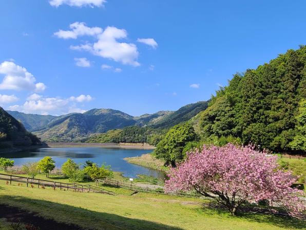 呉ダム渓流公園-0