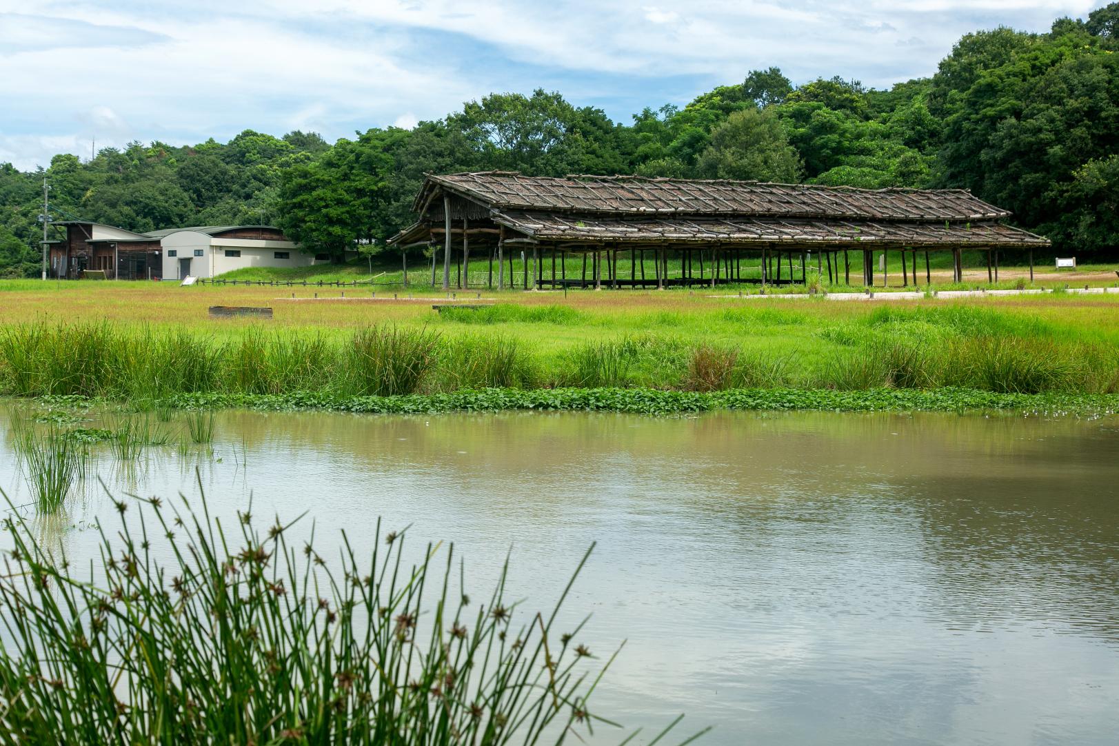 船迫窯跡公園-1