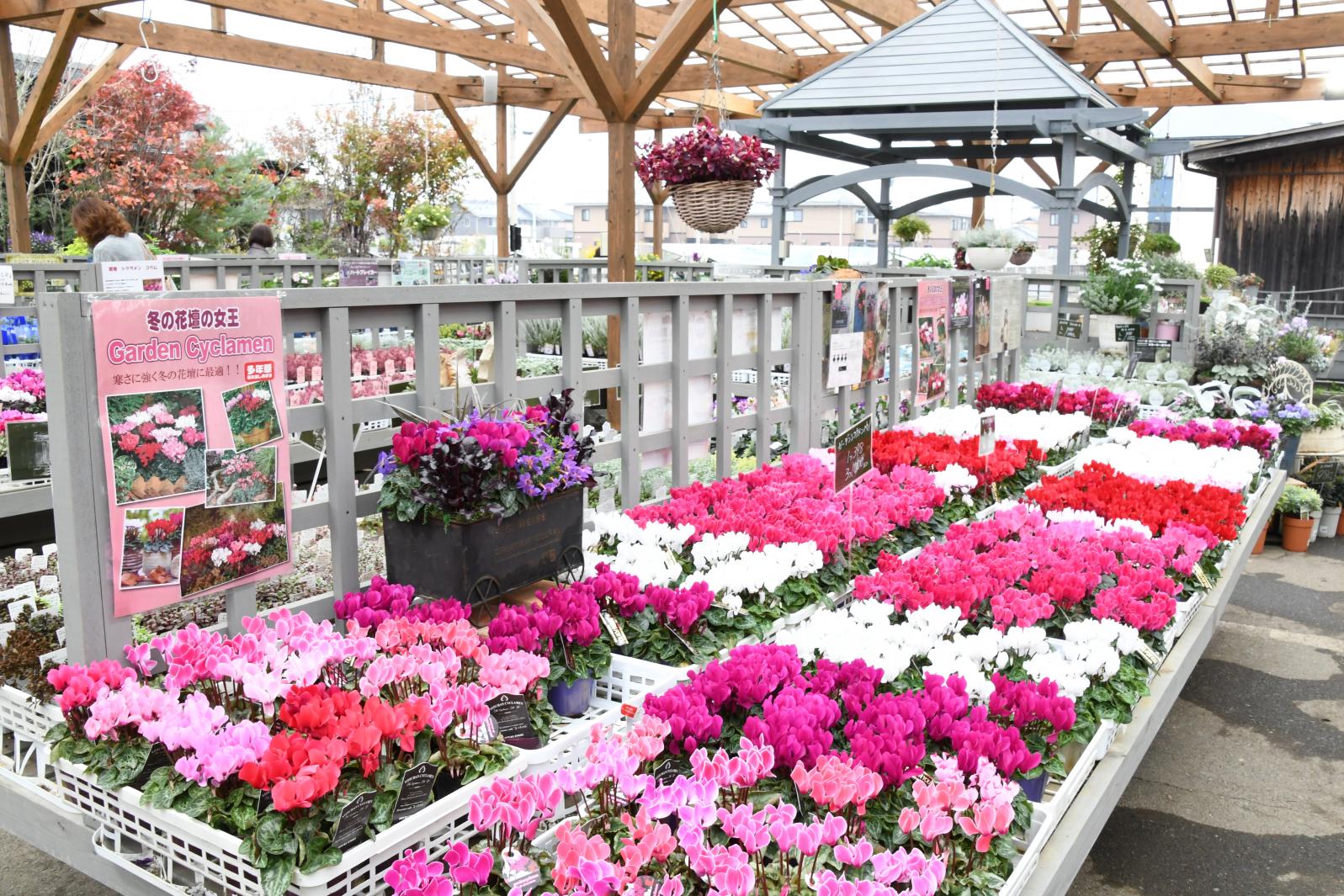 Yukuhashi Flower & Garden Shop-1