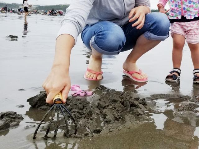 宇島海岸潮干狩り