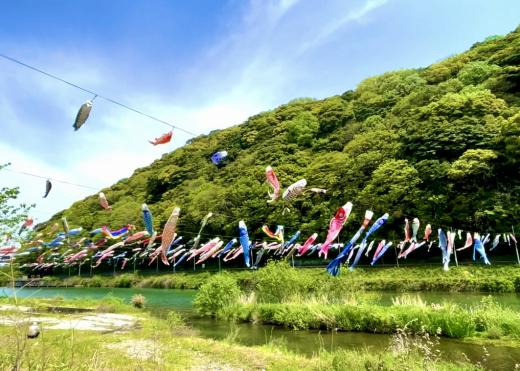 紫川こいのぼりまつり-4