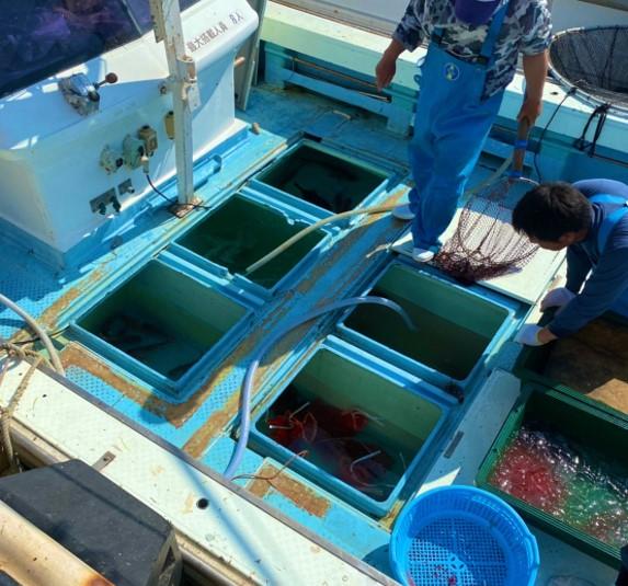 相島の漁師のいけま売り-3