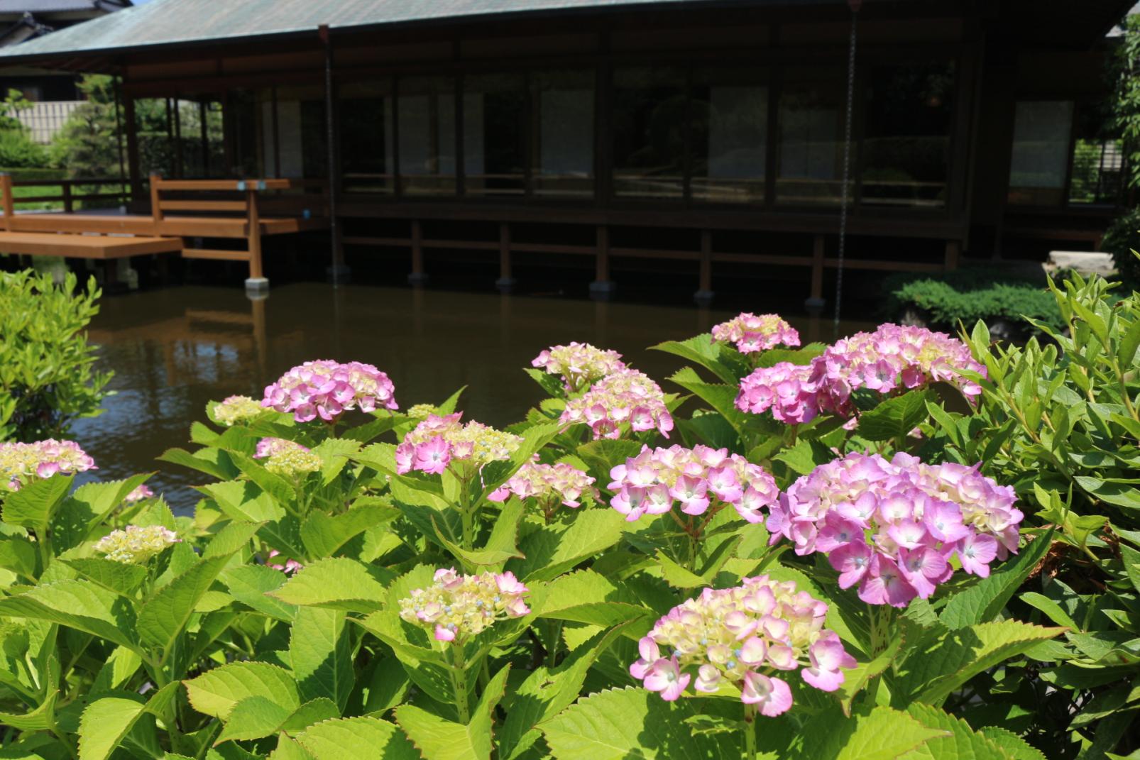 【芦屋釜の里】水無月特別呈茶-2