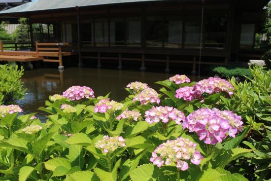 【芦屋釜の里】水無月特別呈茶-2