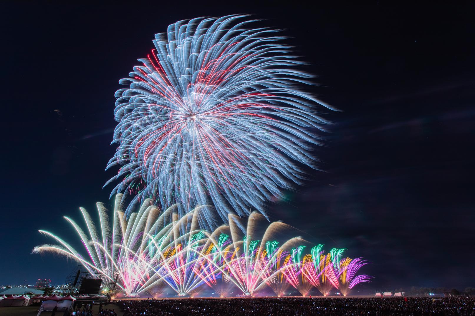 博多湾芸術花火2023 | イベント | 【公式】福岡県の観光/旅行情報